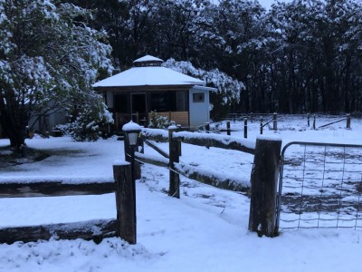 Surprise spring snow