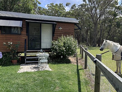 Surprise spring snow